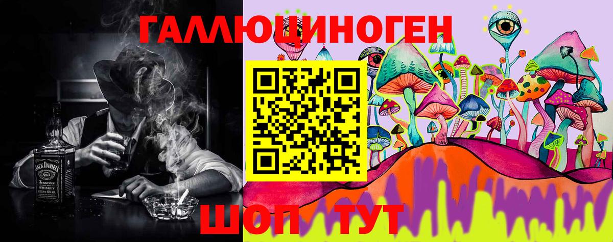 Псилоцибиновые грибы ЛСД  Галлюциногенные грибы Psilocybine cubensis  купить наркотики сайты  Карачаевск  Вход с VPN 