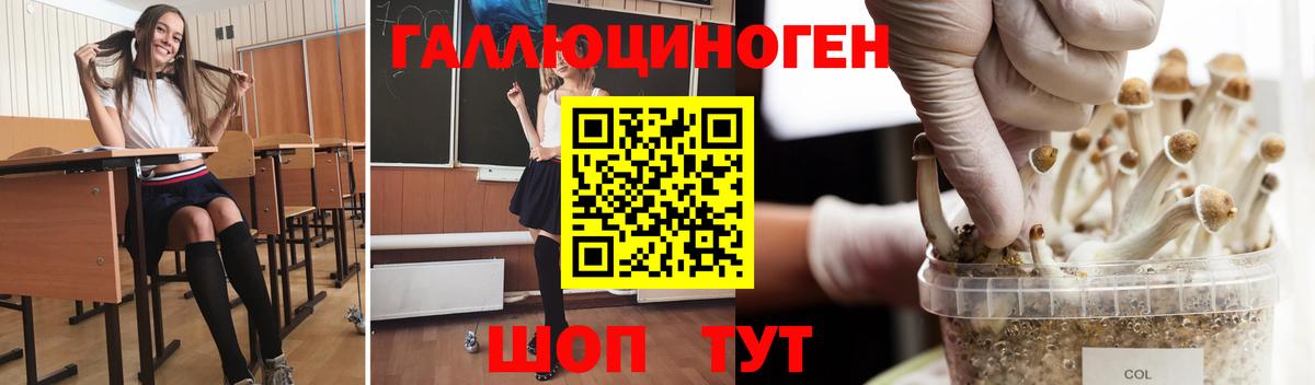 Галлюциногенные грибы мухоморы Карачаевск